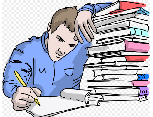 모의고사 등급컷 총정리