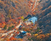 단풍여행 1박2일 버스 단풍구경