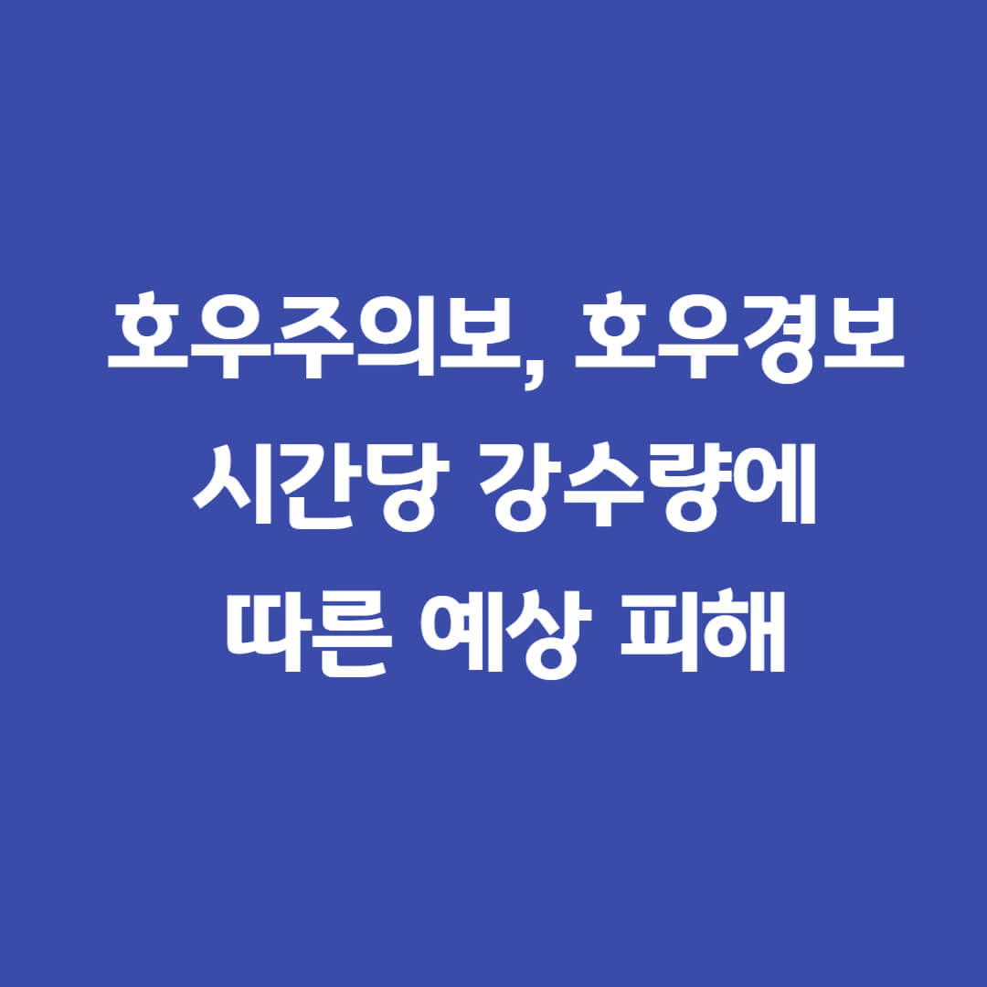 호우주의보-호우경보-시간당강수량피해