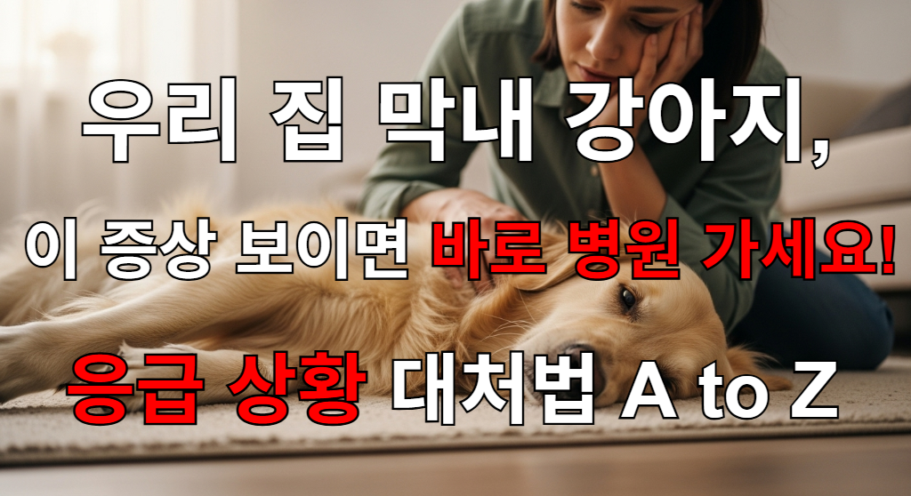 아픈 반려견을 걱정스럽게 돌보는 보호자의 모습.