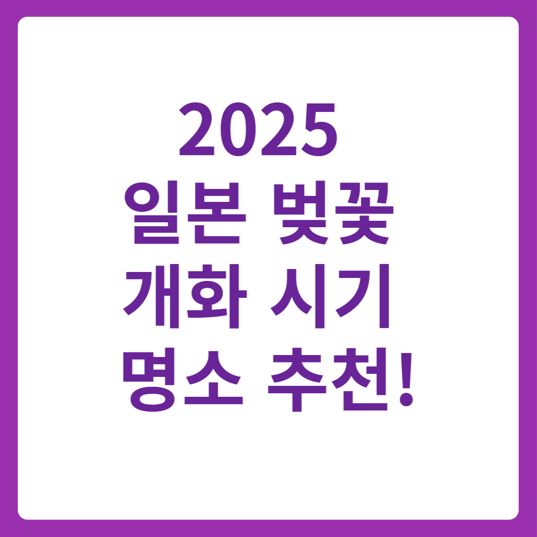 2025 일본 벚꽃 개화 시기 도쿄오사카교토 명소 추천