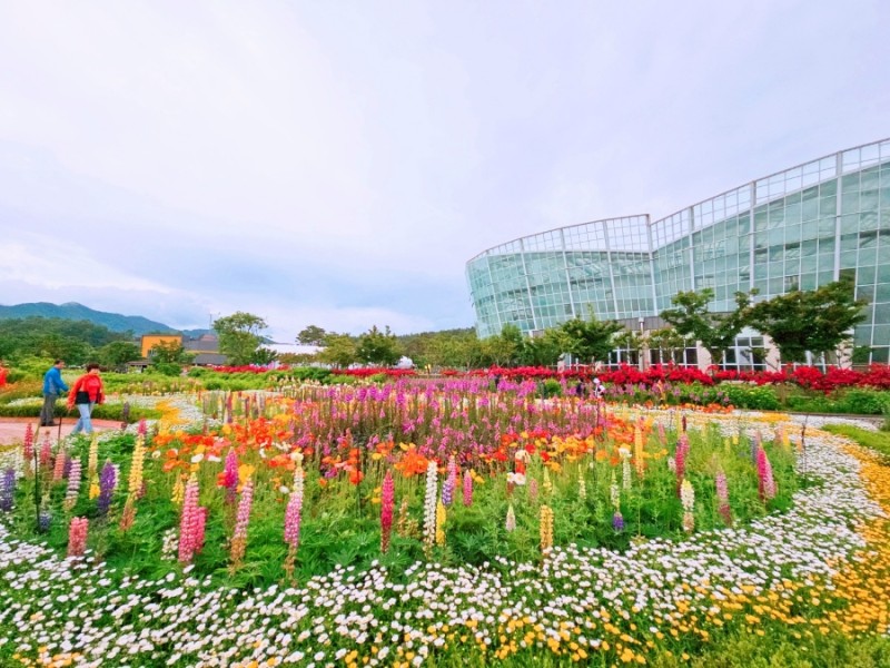 거창 가볼만한 숨은명소 거창 여행코스