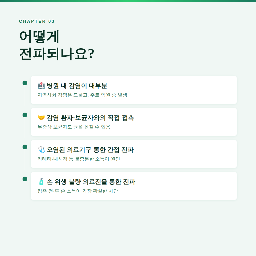세이지 그린 톤의 카드뉴스. '어떻게 전파되나요?'라는 제목 아래 병원 내 감염, 감염 환자&middot;보균자와의 직접 접촉, 오염된 의료기구를 통한 간접 전파, 손 위생 불량 의료진을 통한 전파의 4가지 감염 경로가 세로 타임라인 형태의 점선 연결 구조로 순서대로 표시된 이미지.