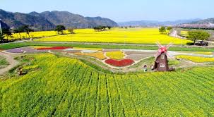 3월 국내 축제 일정