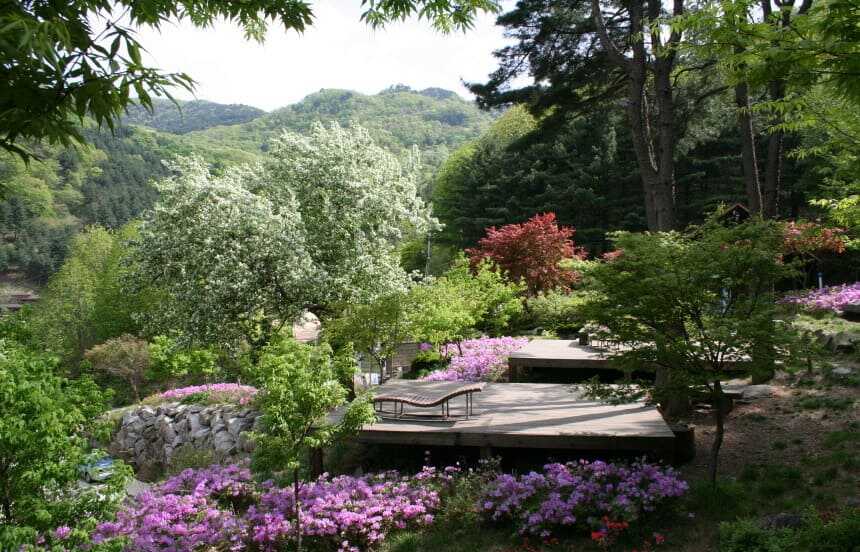 축령산 자연휴양림 야영장