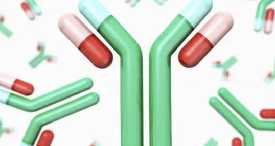 Biologics + LC-MS/MS &ndash; 항체약물접합체(ADC) 대사체 분석 Workflow