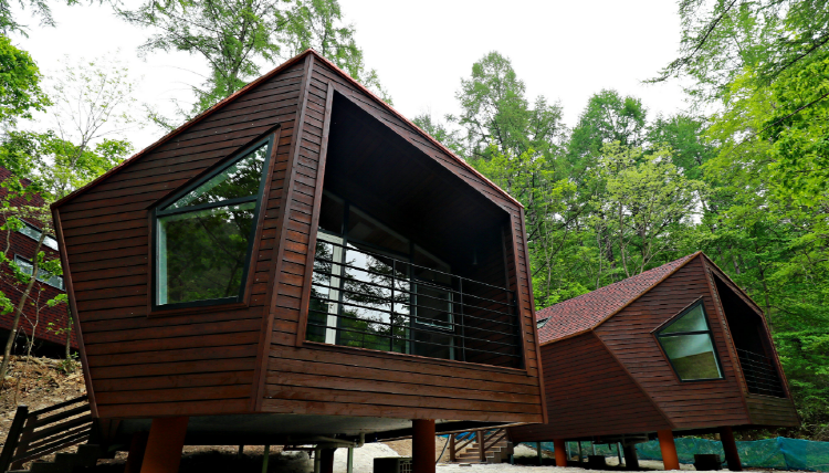 태백고원 자연휴양림