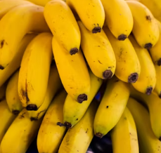 역류성식도염에 좋은 음식 영양제 식단