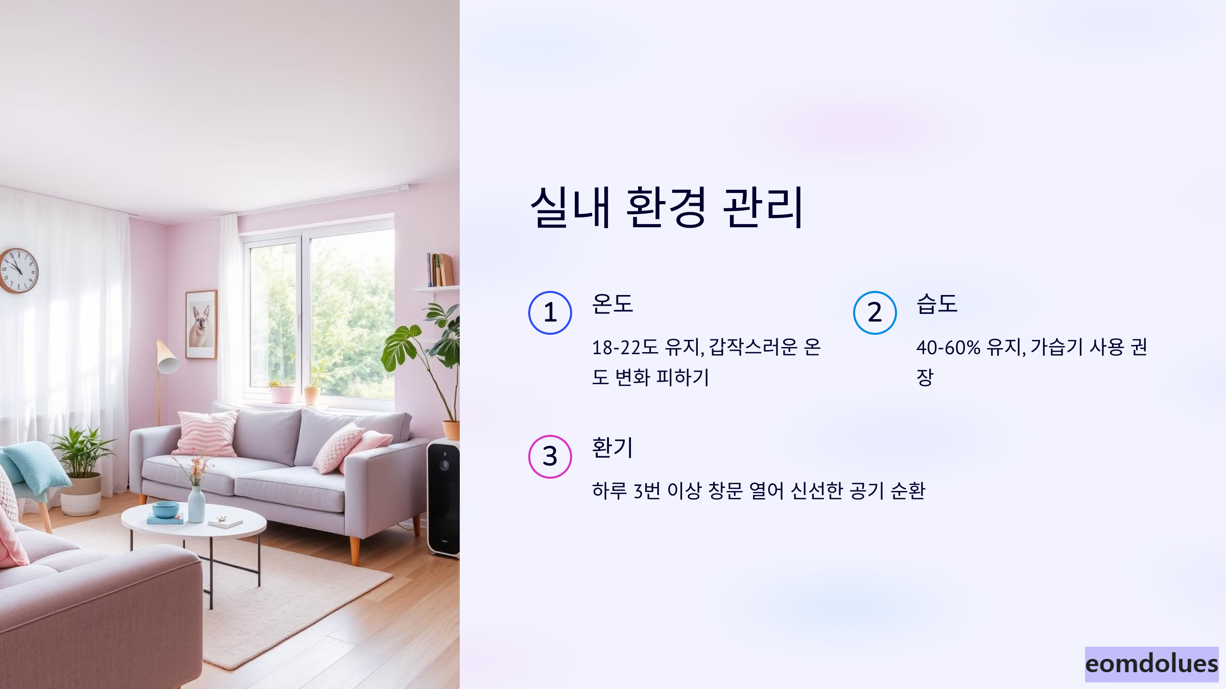 실내 환경 관리