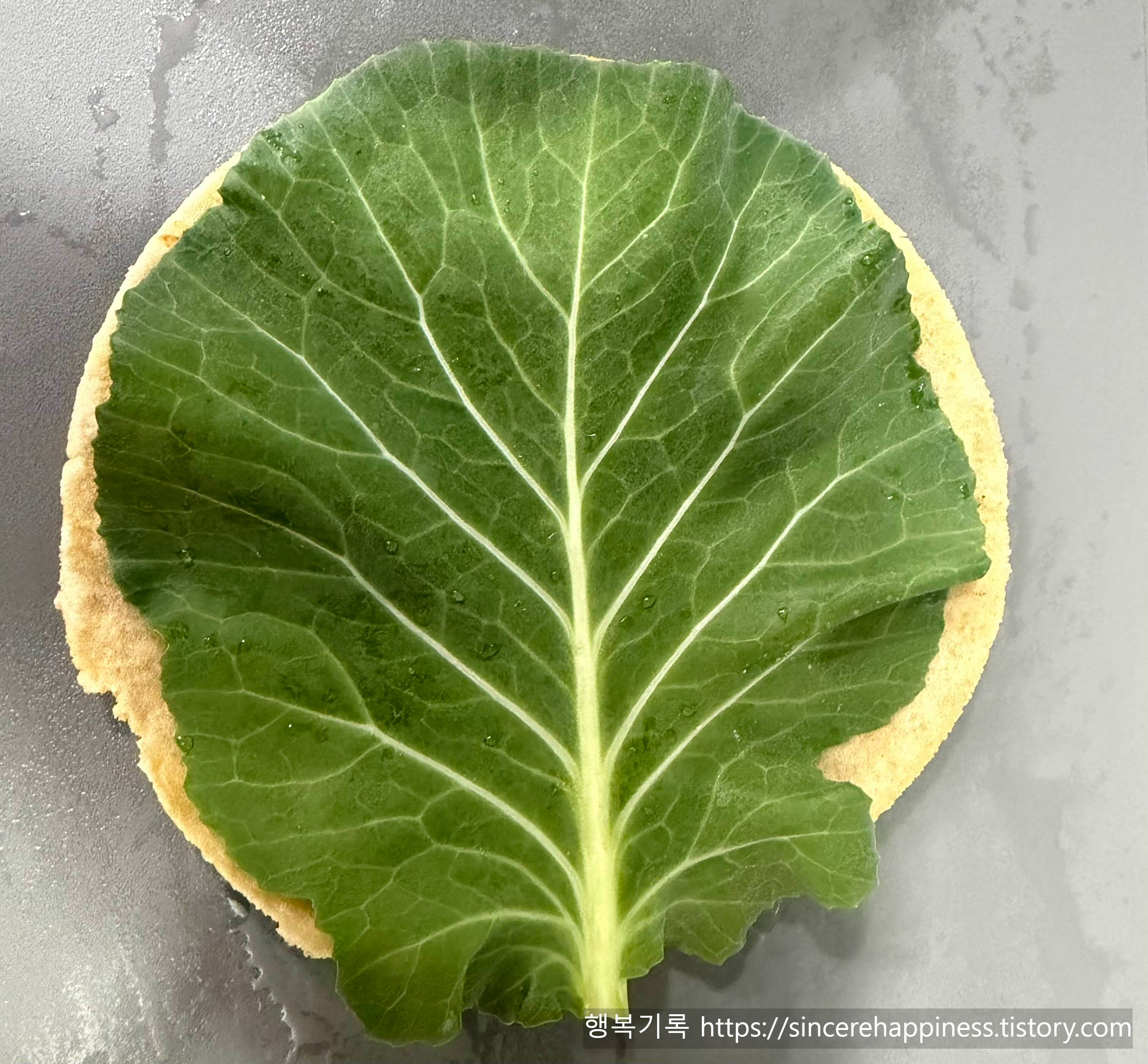 두부 또띠아 빵 위에 다이어트 식단용 신선한 케일을 올린 모습