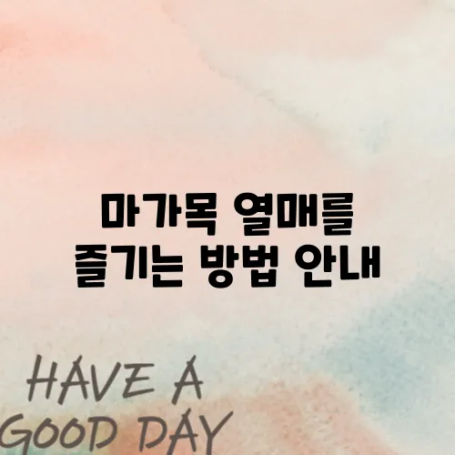 마가목 열매를 즐기는 방법 안내