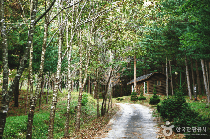 국립 검마산 자연휴양림