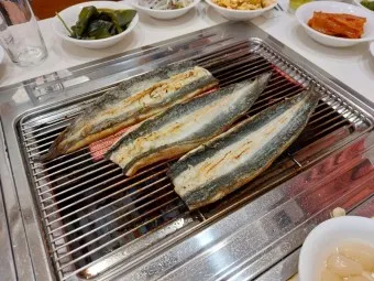 민물장어 가격 효능 민물장어 바다장어 차이 종류_13