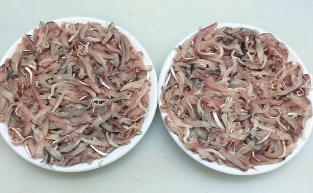 한국기행-낙동강-전어-부산