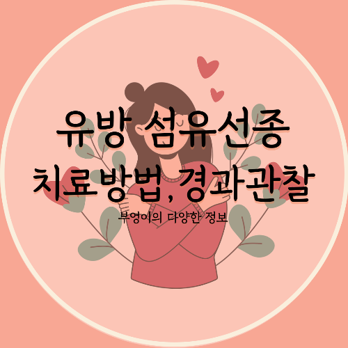 유방 섬유선종 수술 꼭 해야 하나요? 치료 방법과 경과 관찰 기준