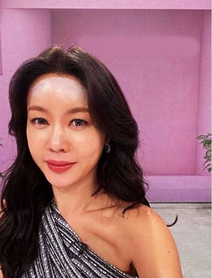 방송인-안선영