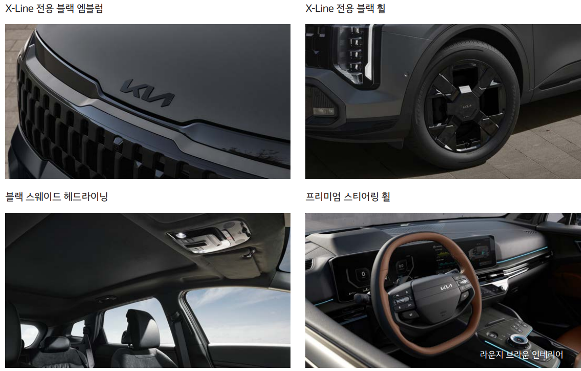 더 뉴 스포티지 x line 전용