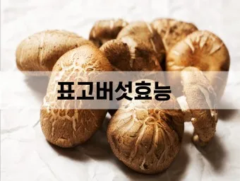 표고버섯 효능_2