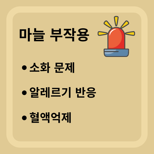 마늘 부작용