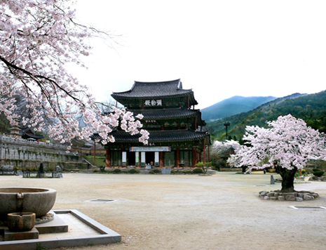 금산사