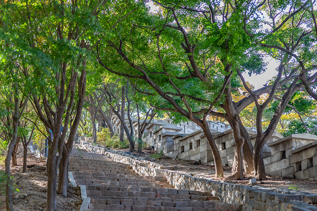 혜화문
성북동
한양도성길
백악구간
서울여행
서울단풍
가을단풍
단풍