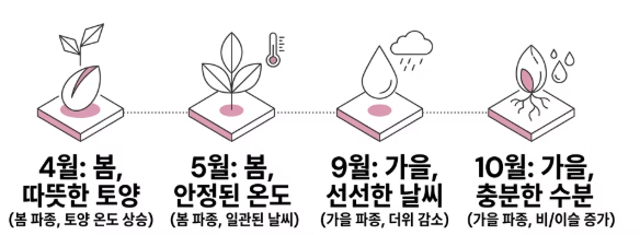 따뜻한 토양