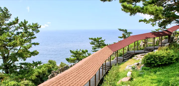 대천해수욕장 스카이바이크 무창포 오토캠핑장 캠핑 여행 정보 충남 보령 캠핑장