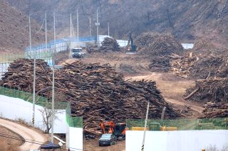 영덕 산불 피해보상 지역 화재 원인 사망자 실종자