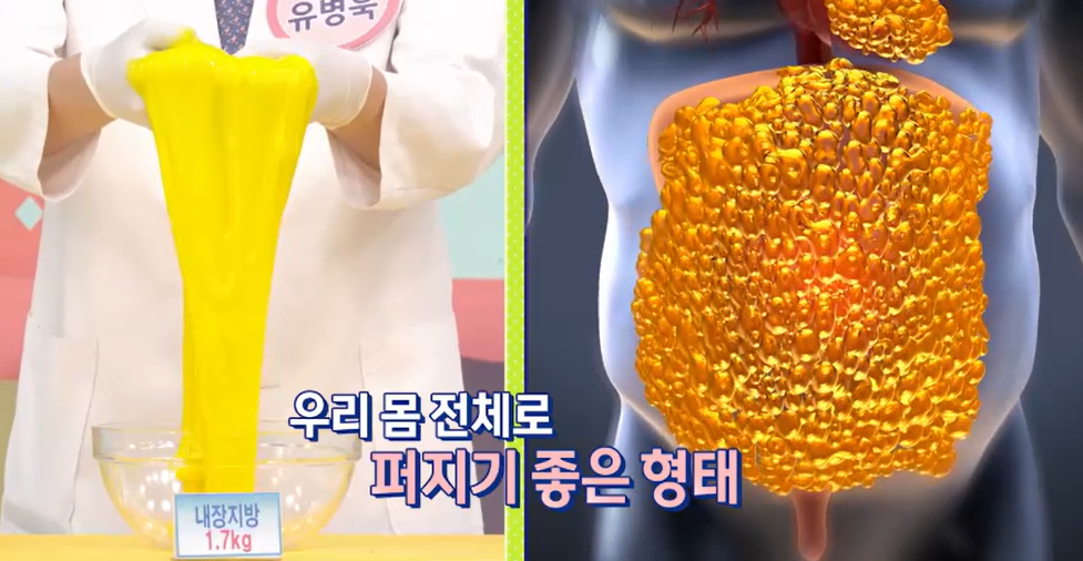 모로실 효능