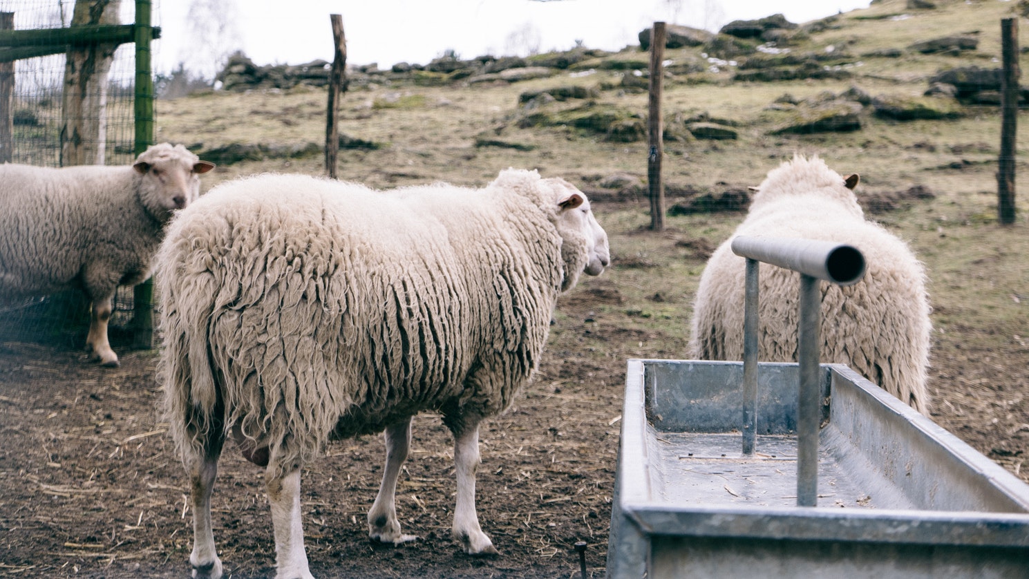 당신도 무시하세요
