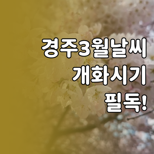 경주 3월 여행 날씨 정보와 시기별 ..