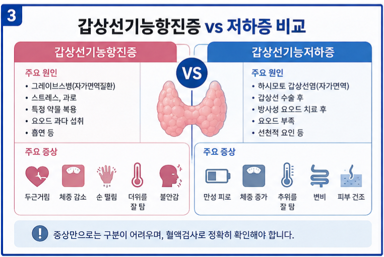 갑상선기능항진증 저하증 원인 비교