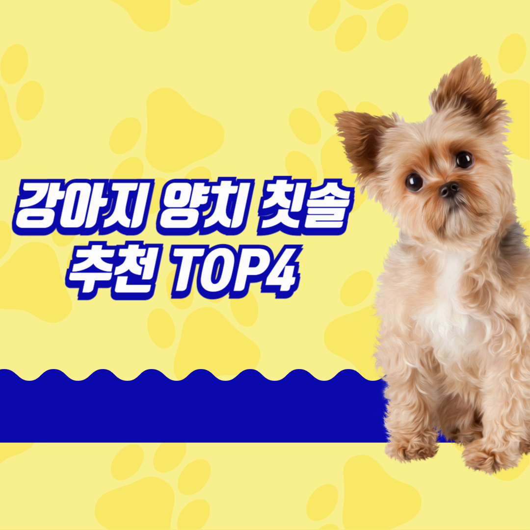 강아지 양치 칫솔 추천 TOP4