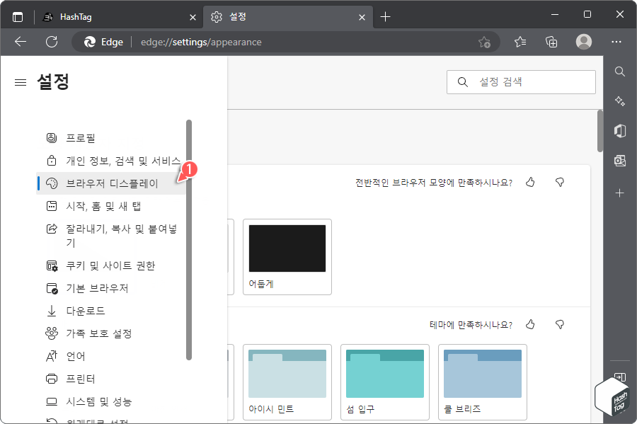 설정 > 브라우저 디스플레이 탭