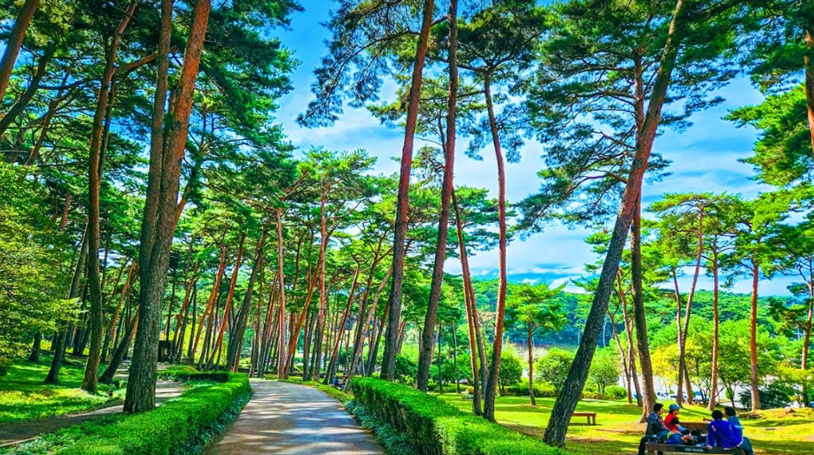 태안 가볼만한곳 베스트10 봄 여름 가을 겨울 사계절 여행코스 총정리