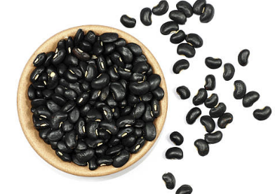 서리태 효능과 부작용 서리태 콩물 만드는 방법 총정리(24년 Ver)