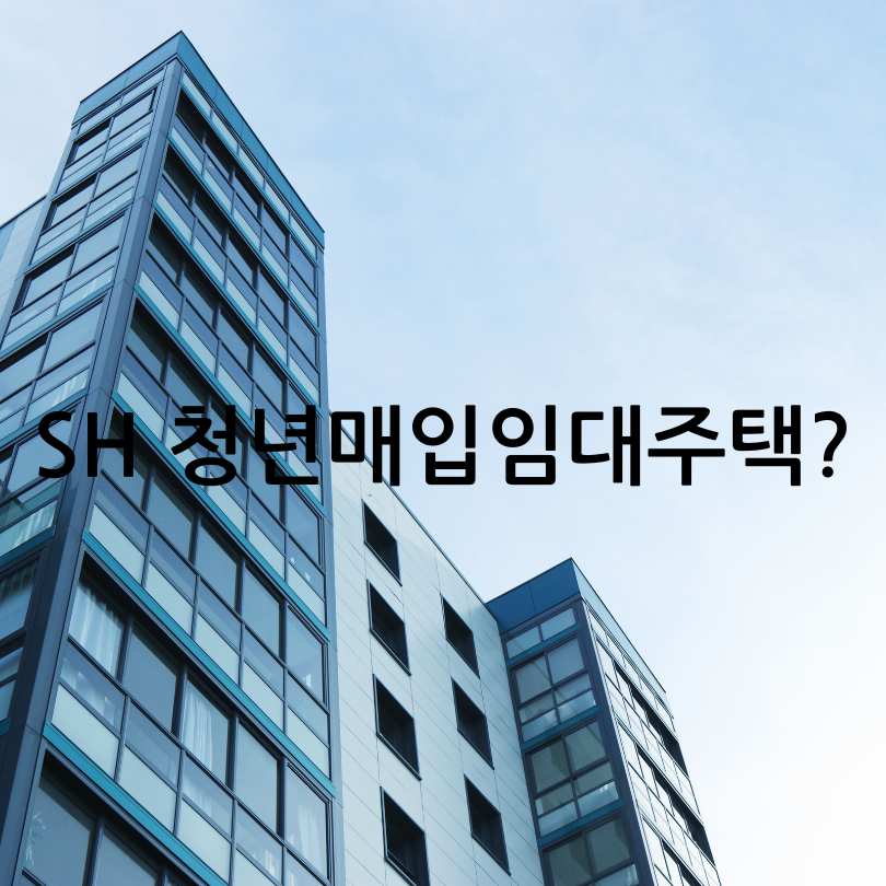 2025 SH 청년매입임대주택 완벽 가이드