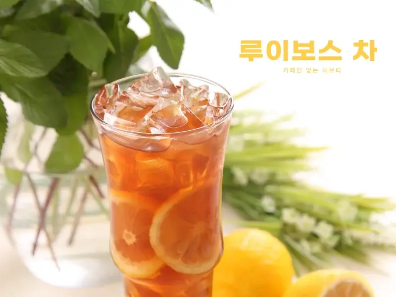 루이보스차 아이스