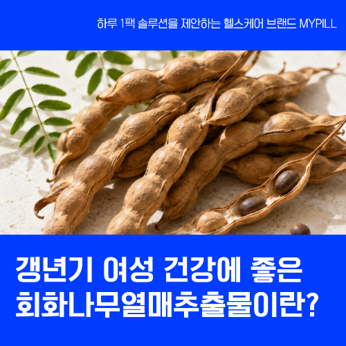 회화나무열매추출물