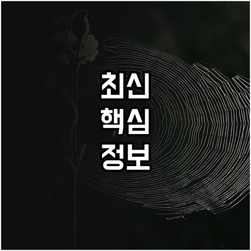 중학교 1학년이라면 필수 2025 성..