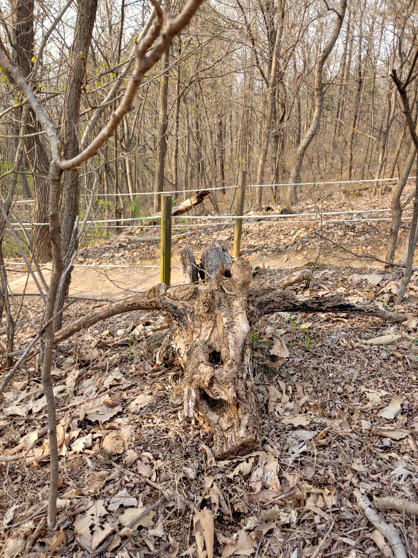 계란-마을-신천동