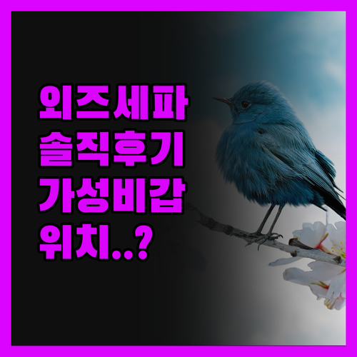 Hostel ÖZSEFA 진실 후기 