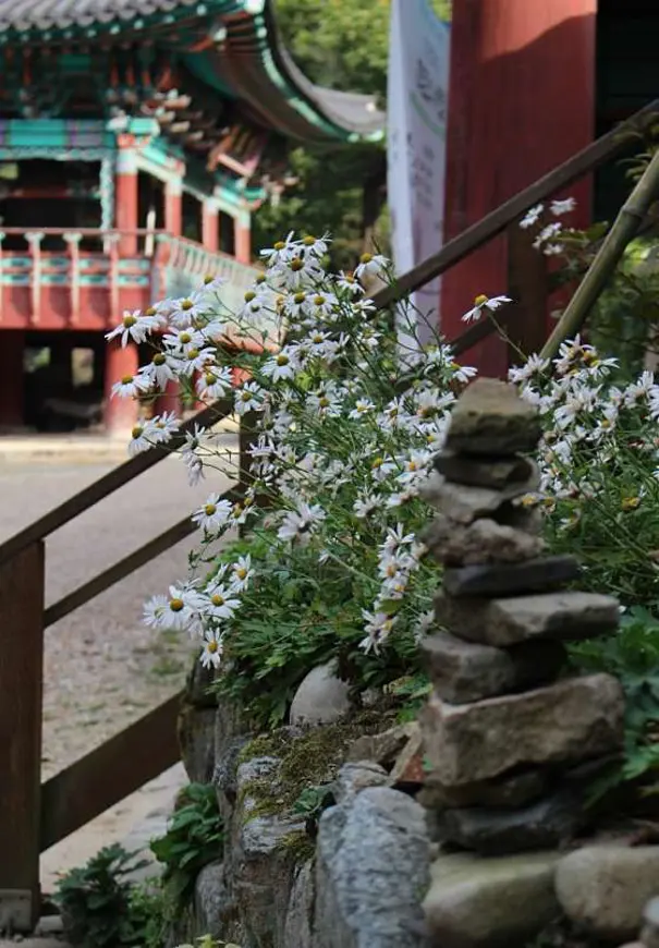 갑사