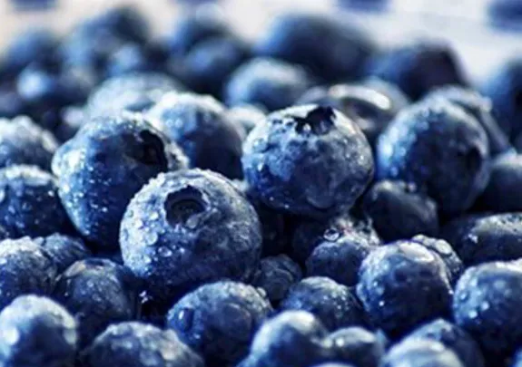 냉동-블루베리-효능-먹는-방법-세척법-건강