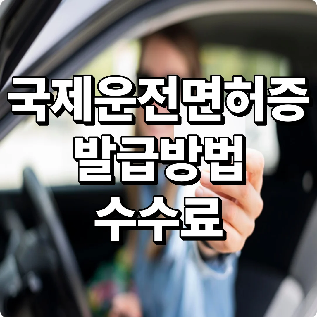 국제운전면허증 발급 방법부터 준비물, 수수료, 유효기간