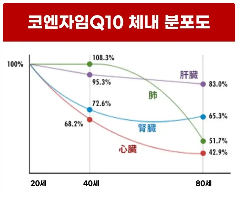 코엔자임Q10