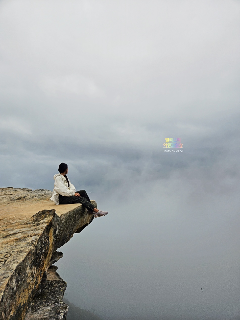 시드니 근교 블루마운틴 투어 가격 솔직 후기 + 시드니 동물원 일일투어