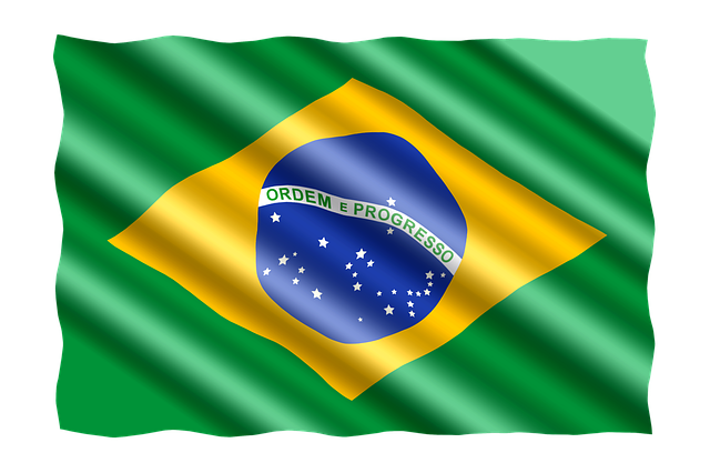 브라질 라고아(Lagoa) 커피: 부드러움 속에 숨겨진 풍요로운 맛의 대서사시