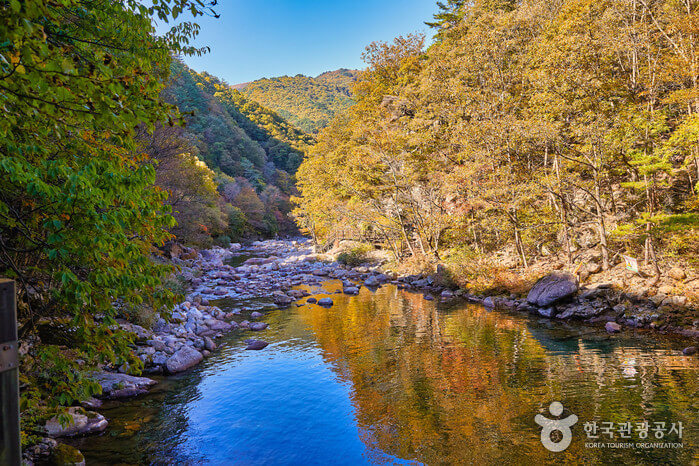 전북 남원시 지리산 뱀사골 단풍