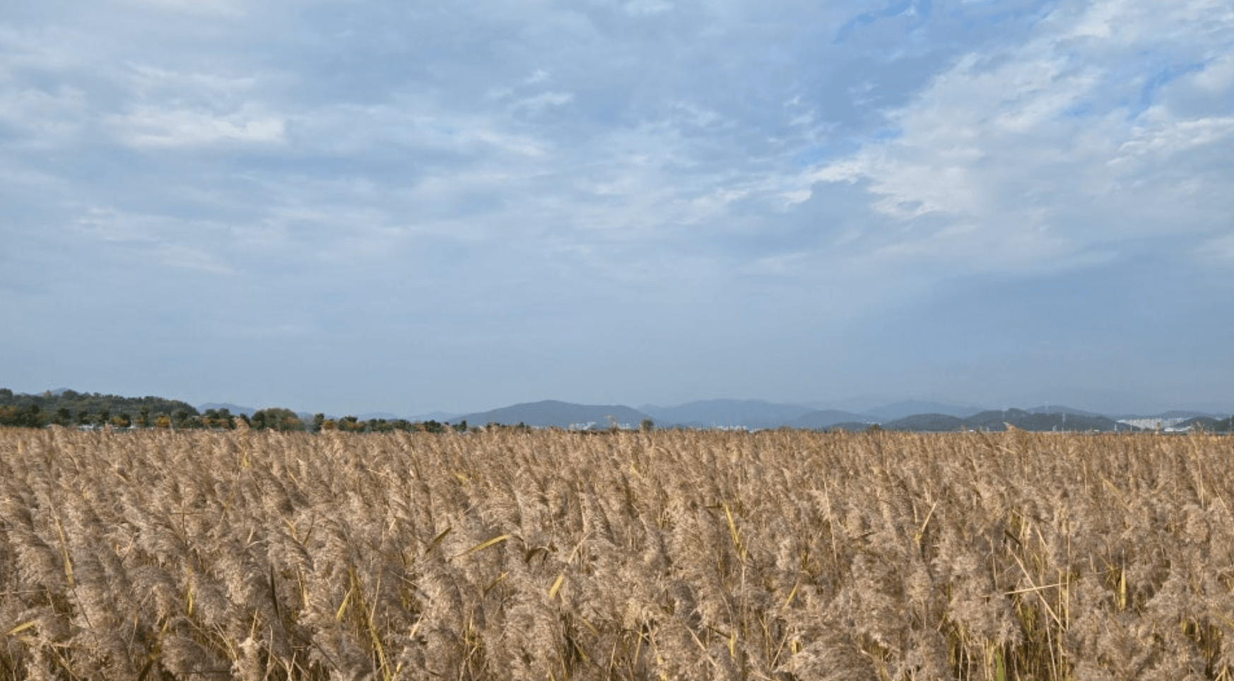순천만국가정원